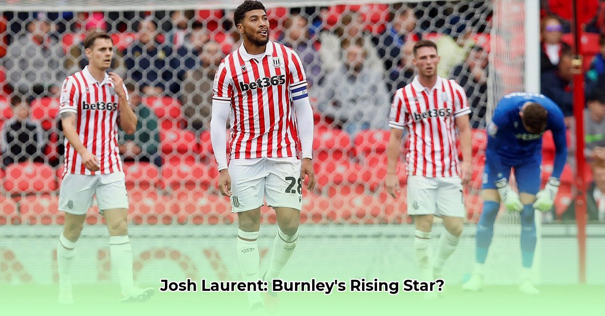 josh-laurent-net-worth